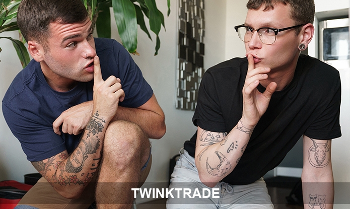 TwinkTrade: Just $19.95!