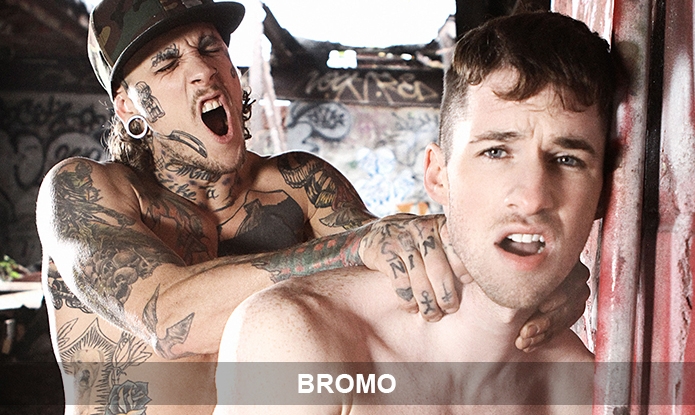 Bromo Just $12.10 for Life!!
